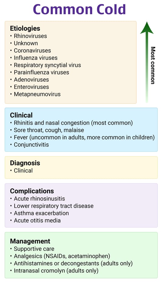 36b35ce375127ec66b94ebdb189374a3_Image - Common Cold, Viral Upper Respiratory Infection, URI @8x